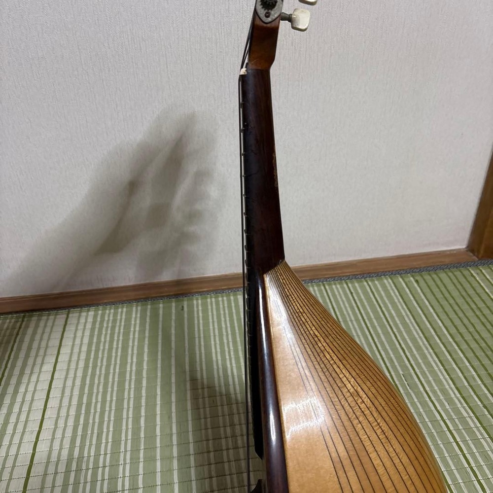 Raffaele Terada Musical Instruments High End Mandolin RM-3 String Guitar