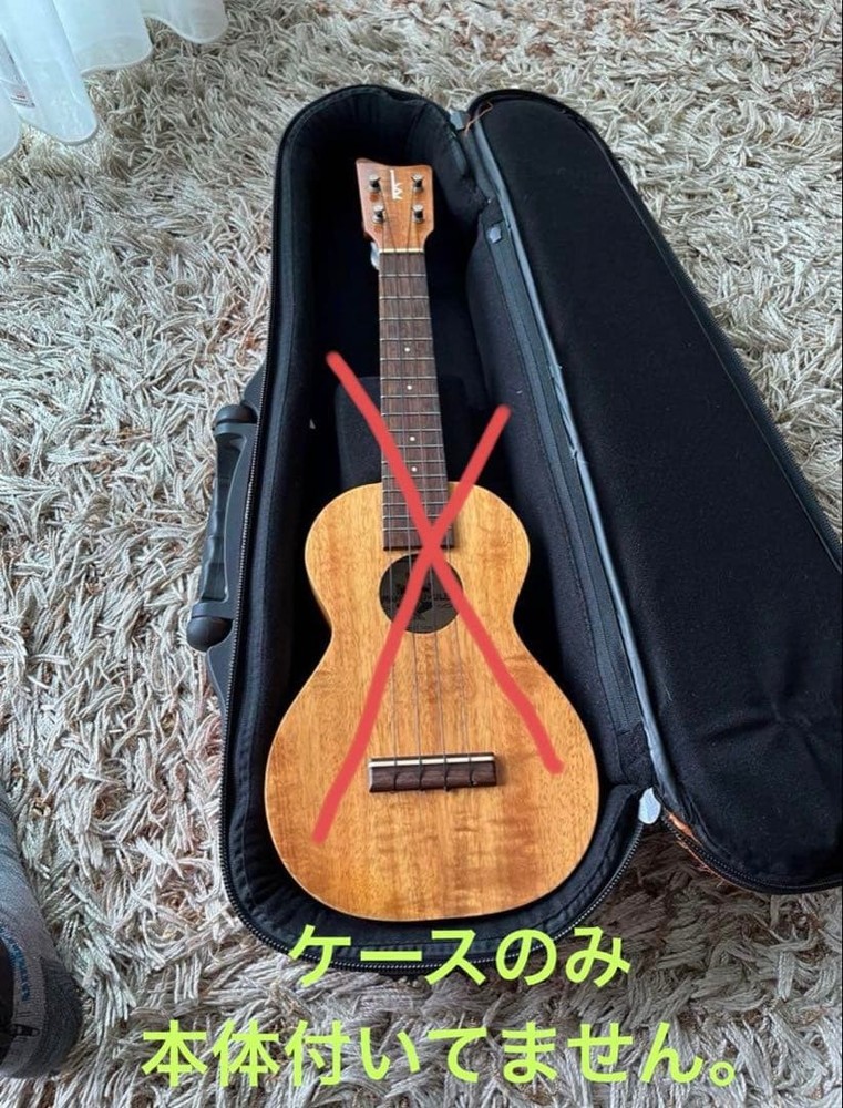 Kamaka Ukulele Concert HF-2 case