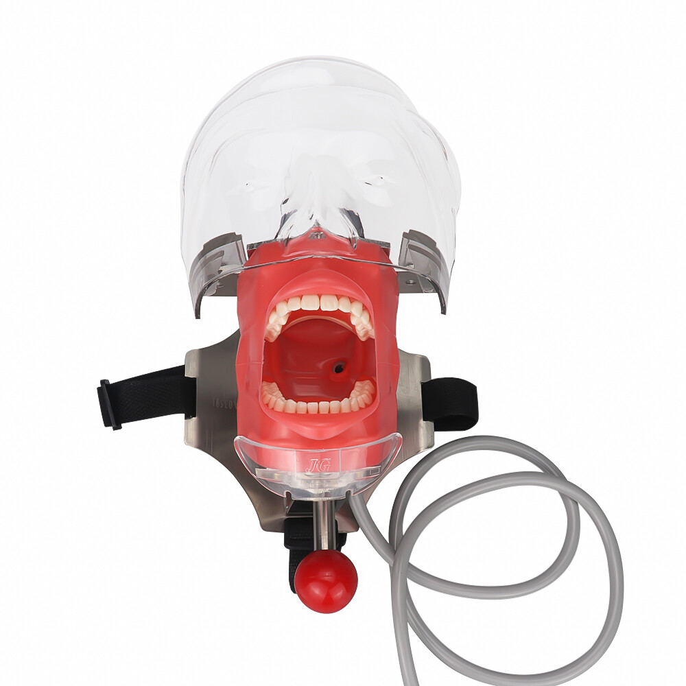 Dental Simulator Phantom Head Dentist Training Practice for Chair Unit Headrest