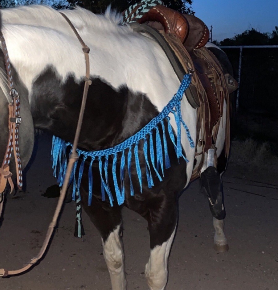 Mule Tape Tripping Collar Blue