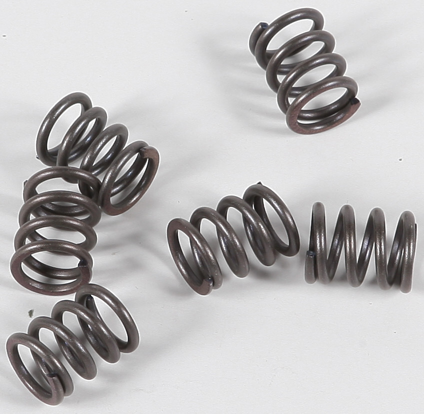 EBC CSK Clutch Spring Kit CSK21