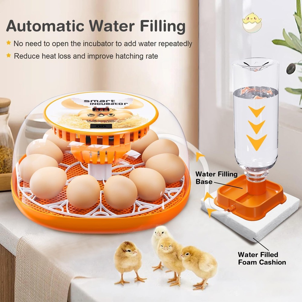 12 Egg Incubator with Automatic Egg Turning and Temperature Control, Automati...