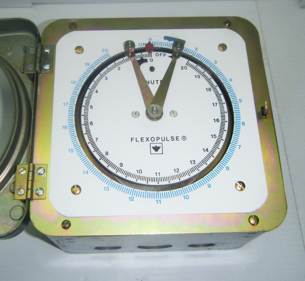 NOS Eagle 0-20 min. Flexopulse Repeat Cycle Timer - HG934A6