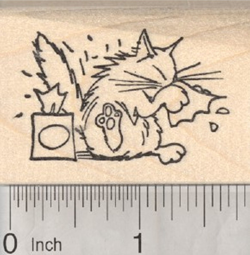 Get Well Cat Rubber Stamp, with Tissues E28711 WM