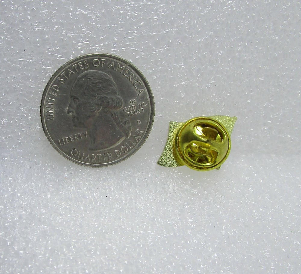 United States Flag Pin