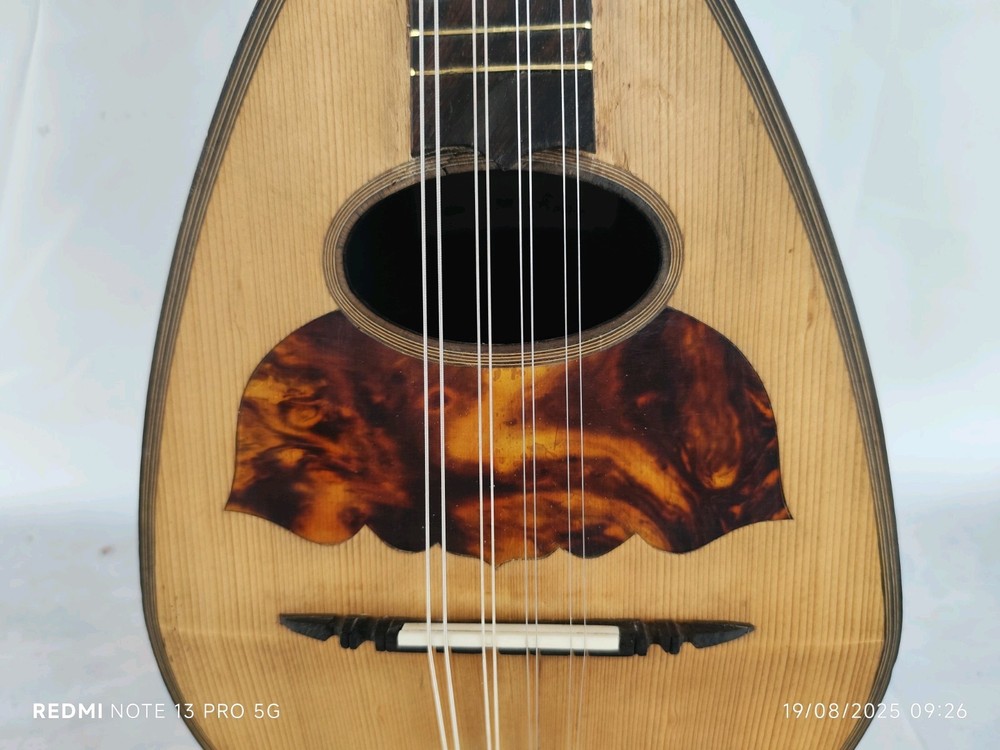 Mandolin 4/4 Alberti 1910 Rome 曼陀林 만돌린マンドリン