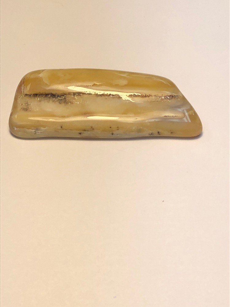 Yellow Petrified Wood. 18g