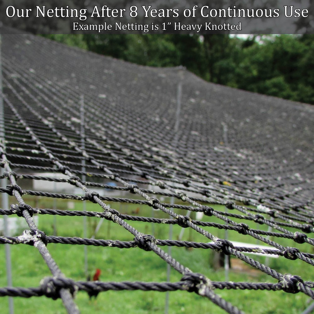 Poultry Netting 100' x 100' 2" Heavy Knotted Aviary Hawk Stop Bird chicken Net