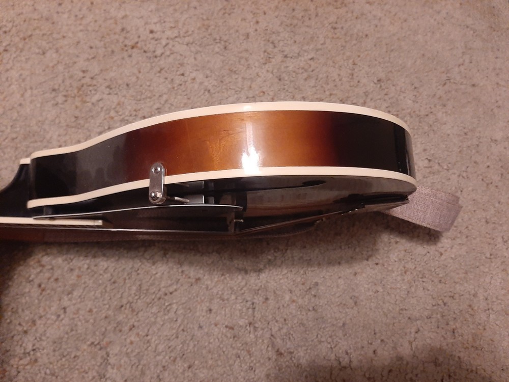 mandolins musical instrument used