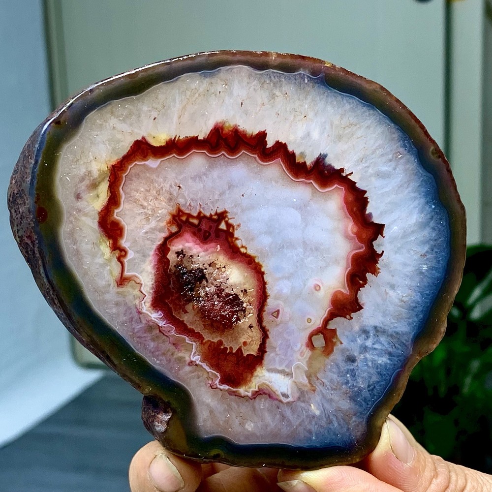 287G Natural Beautiful Agate Geode Druzy Slice Extra Large Gemstone