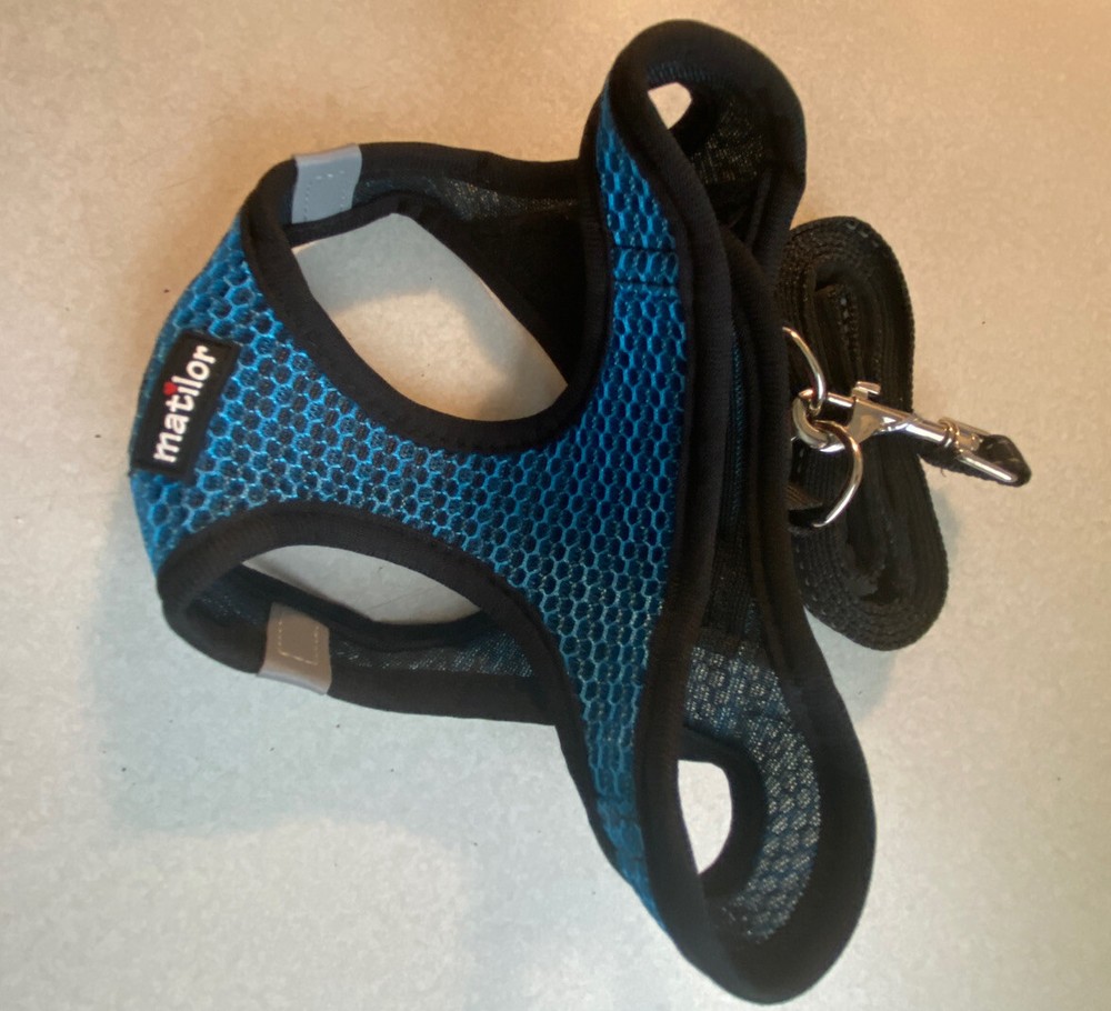 Mesh Blue/Blk Medium Harness And Black Nylon Leash