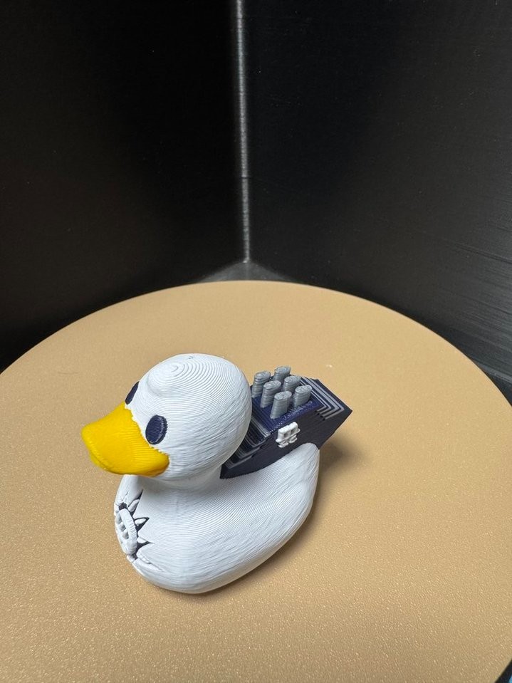 MSC Cruise Duck - 2 inch