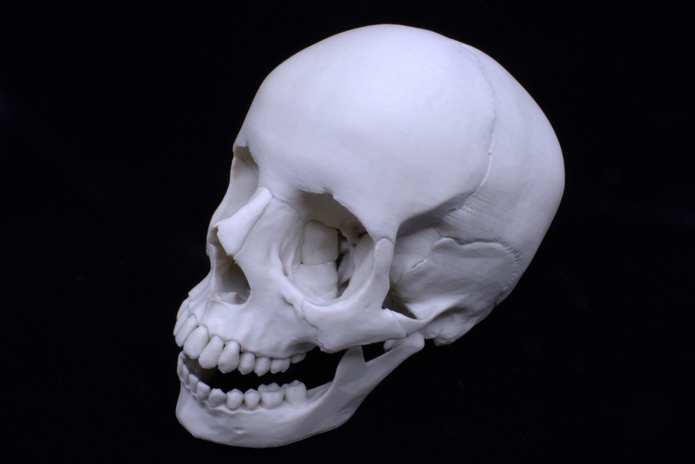 3D Printed Anatomically Correct Skull!