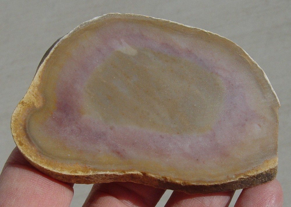 Texas Flint Lapidary Slab T1257