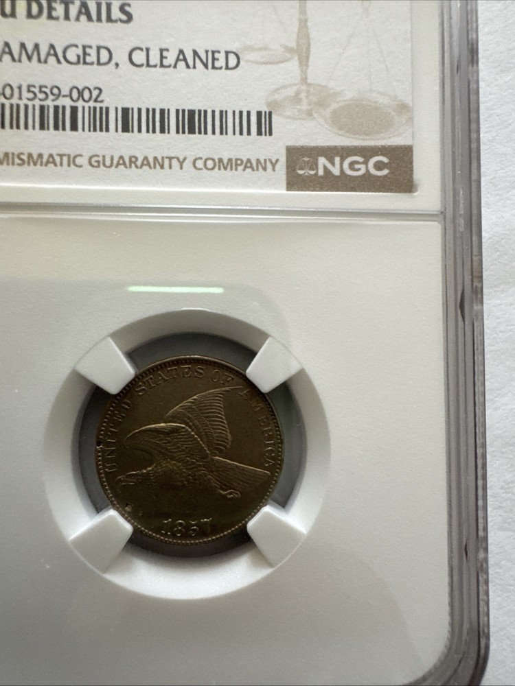 1857 flying eagle cent ngc Almost Uncirculated