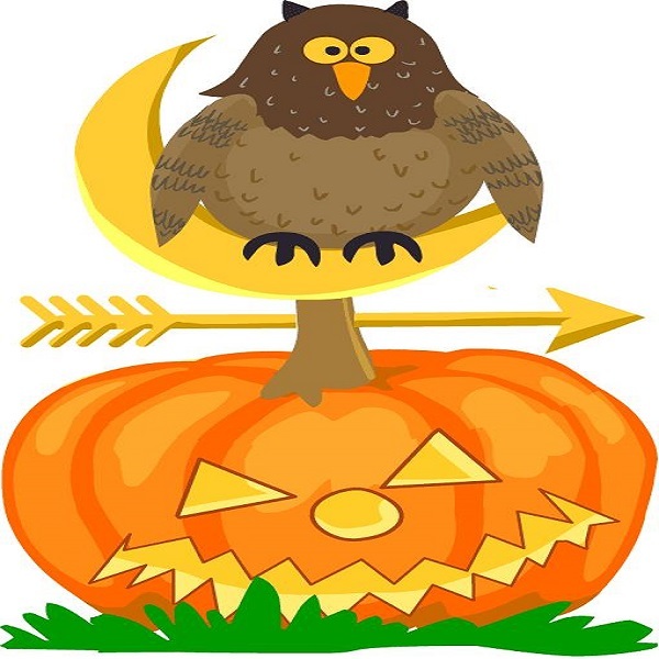 30 Custom Cartoon Halloween Owl Personalized Address Labels