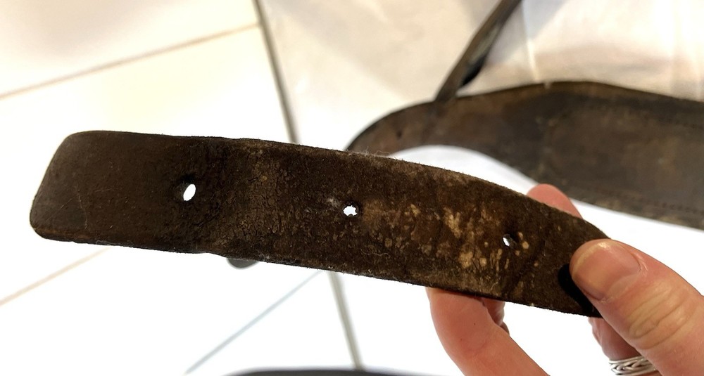 WWI U.S. Army McClellan Saddle Leather Girth / Surcingle Strap, WW1 Brass Snaps