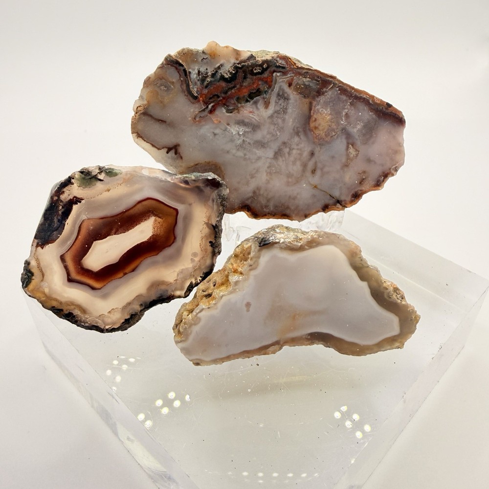 3pc Moroccan Agate Bundle 3.15oz Polished Fortification Moss Agate Slab Specimen