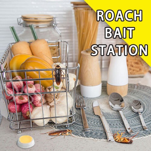 MoonSpry Max Roach Killing Bait, Kills Small Roaches Non-Stop, 8 Bait Stations