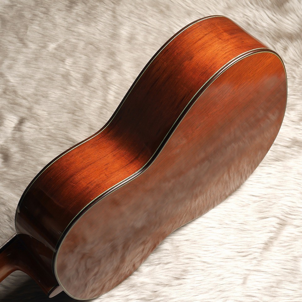 VICENTE CARRILLO Maestro NX