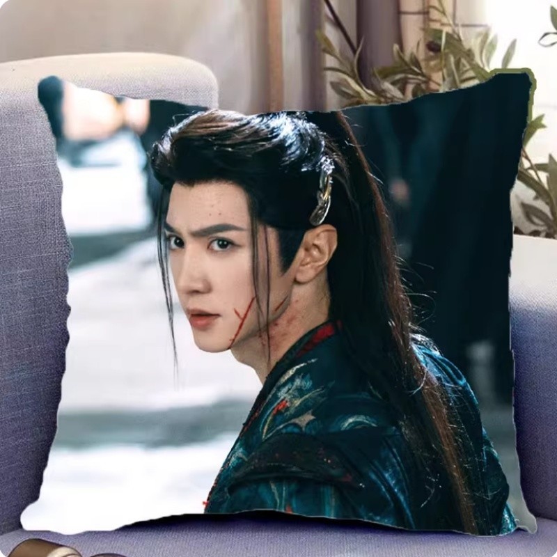 陈哲远 Chen Zheyuan pillow Gift 一笑随歌