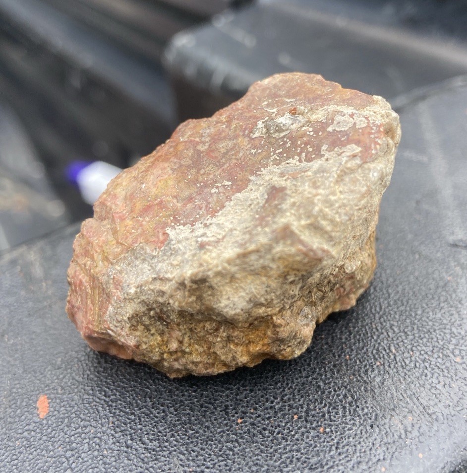 Textured Red Petrified Wood 2 Oz