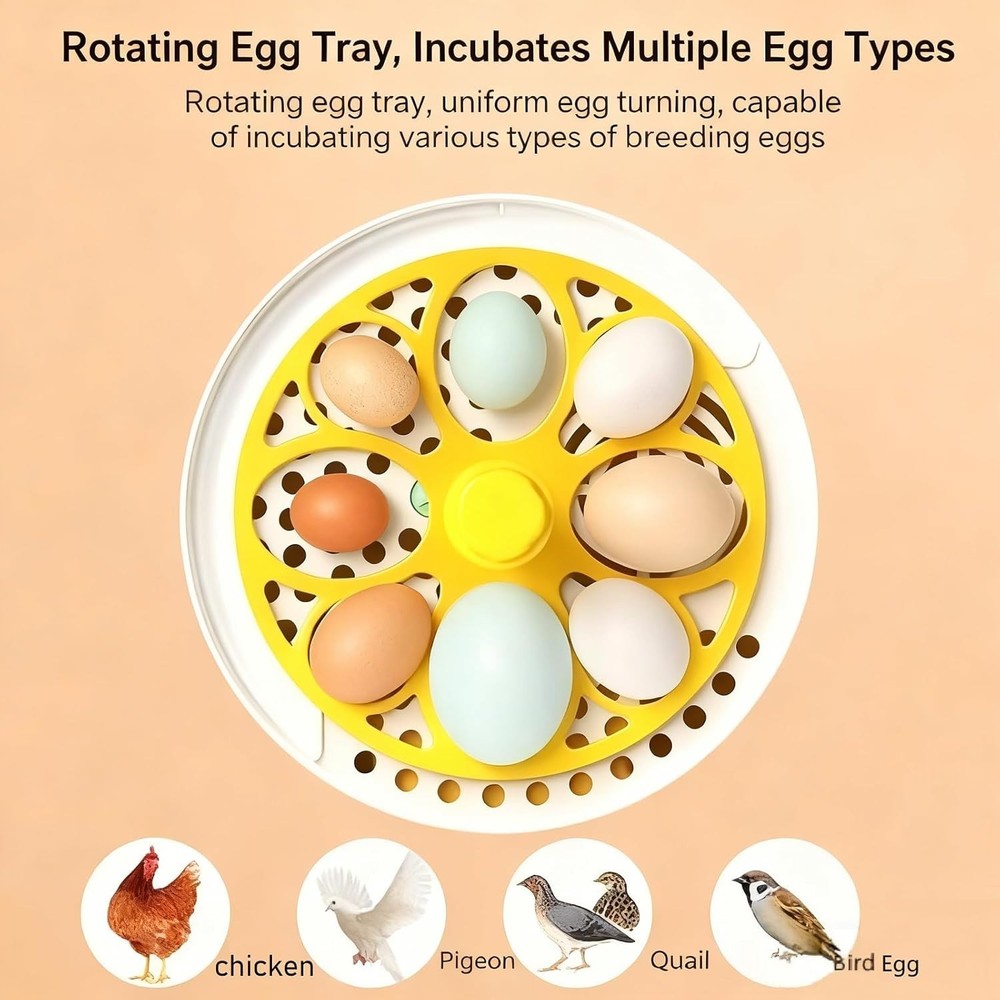 Egg Incubator with Manual Egg Turning & Humidity Control, Incubators