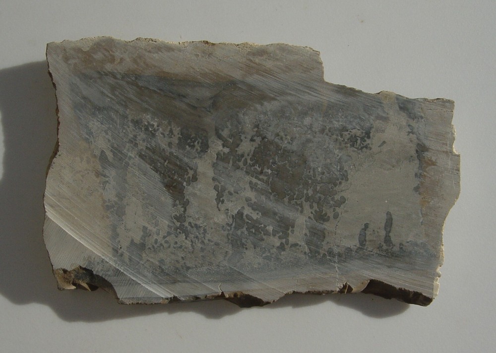 Cotham Marble Lapidary Slab T1029
