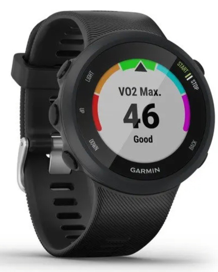 Garmin Forerunner 45 GPS Running Smartwatch