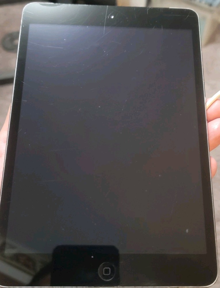 Ipad Mini 2