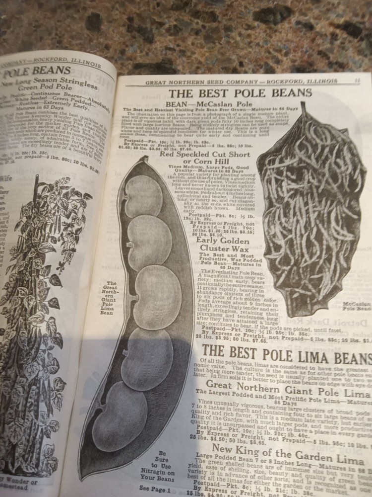 Vintage 1933 Great Northern Seed Catalog