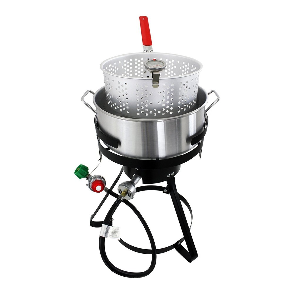 Chard FFPA105 Fish and Wing Fryer, Silver Single
