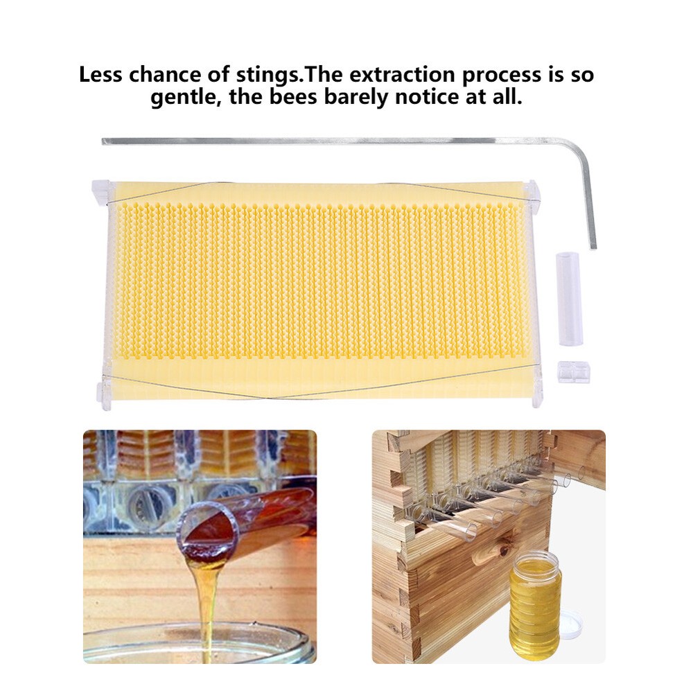 Auto Seep Beehive Beekeeping Hive Beekeeping Bee Boxes +7 Honey Bee Hive Frames