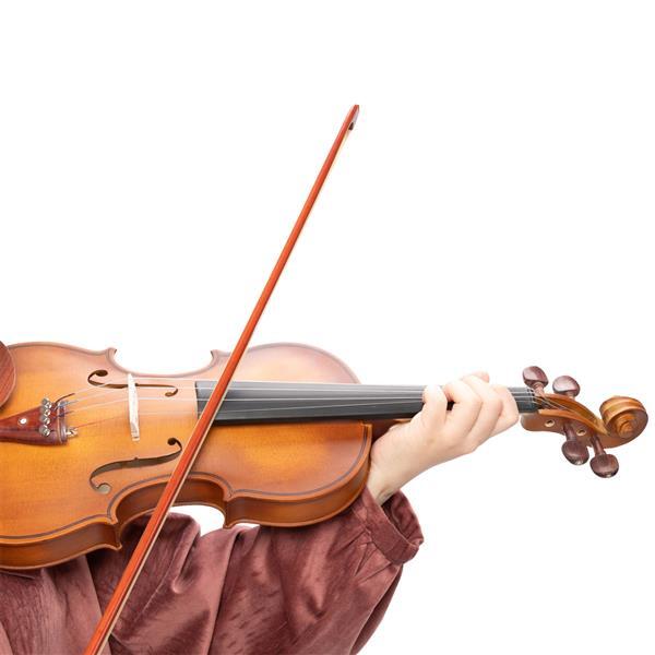 Glarry GV103 4/4 Spruce Panel Violin Matte Natural