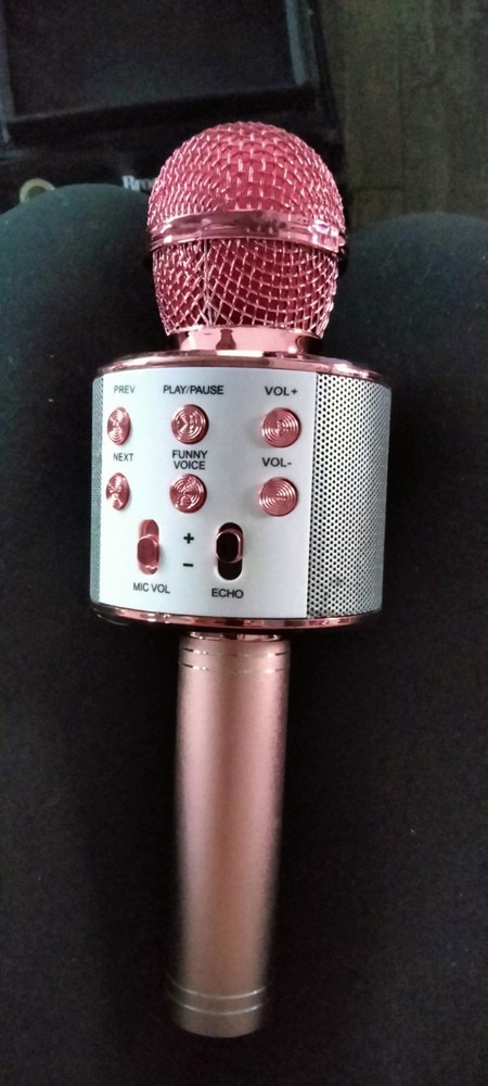 Vivatar Bluetooth Karaoke Microphone