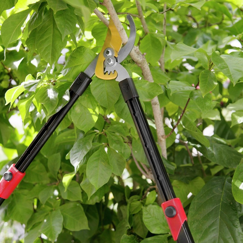 Trojan Geared Telescopic Bypass Lopper