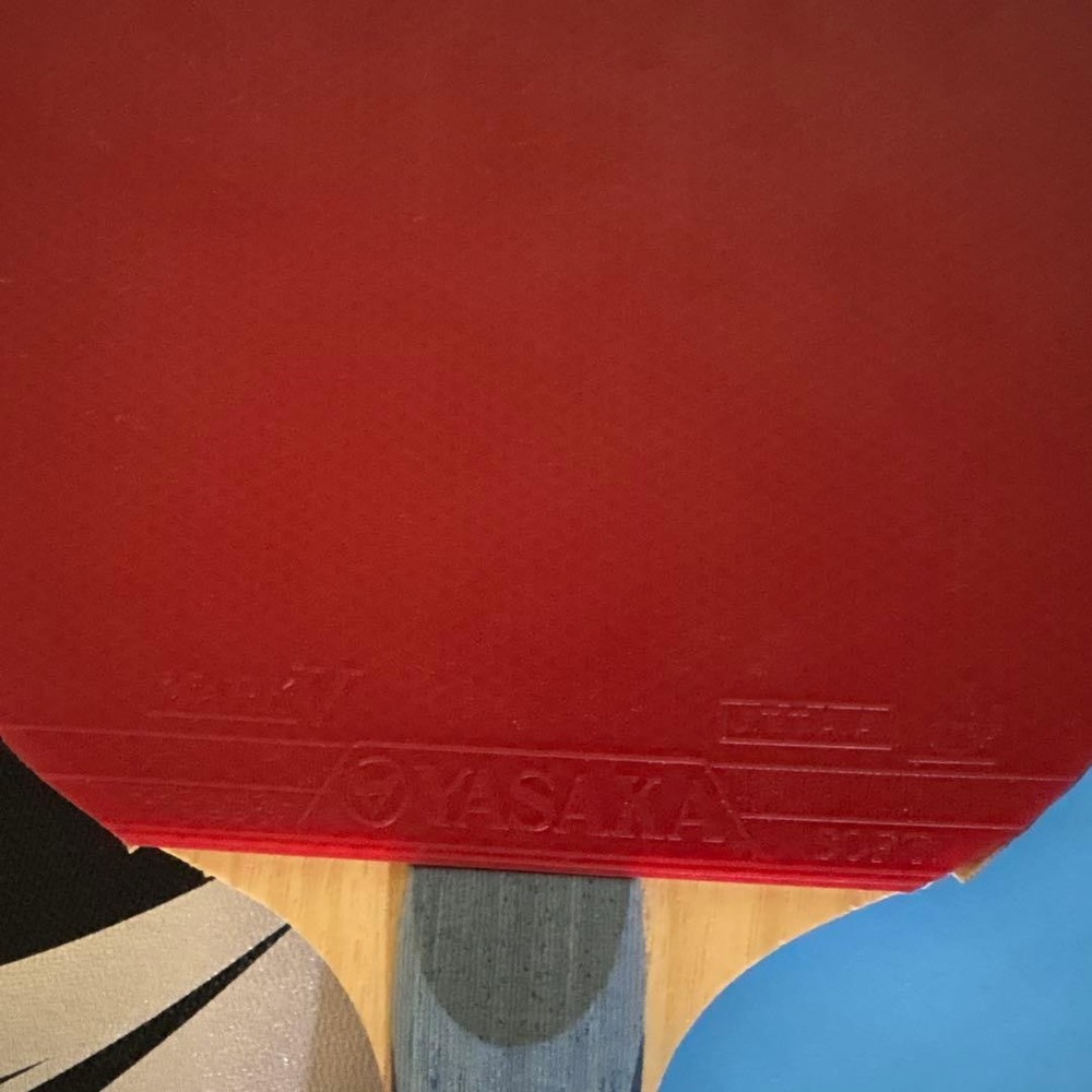 Nittaku Racket Case With Divider Set