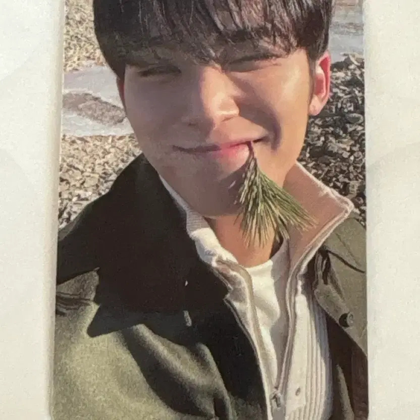 Seventeen Mingyu Photocard