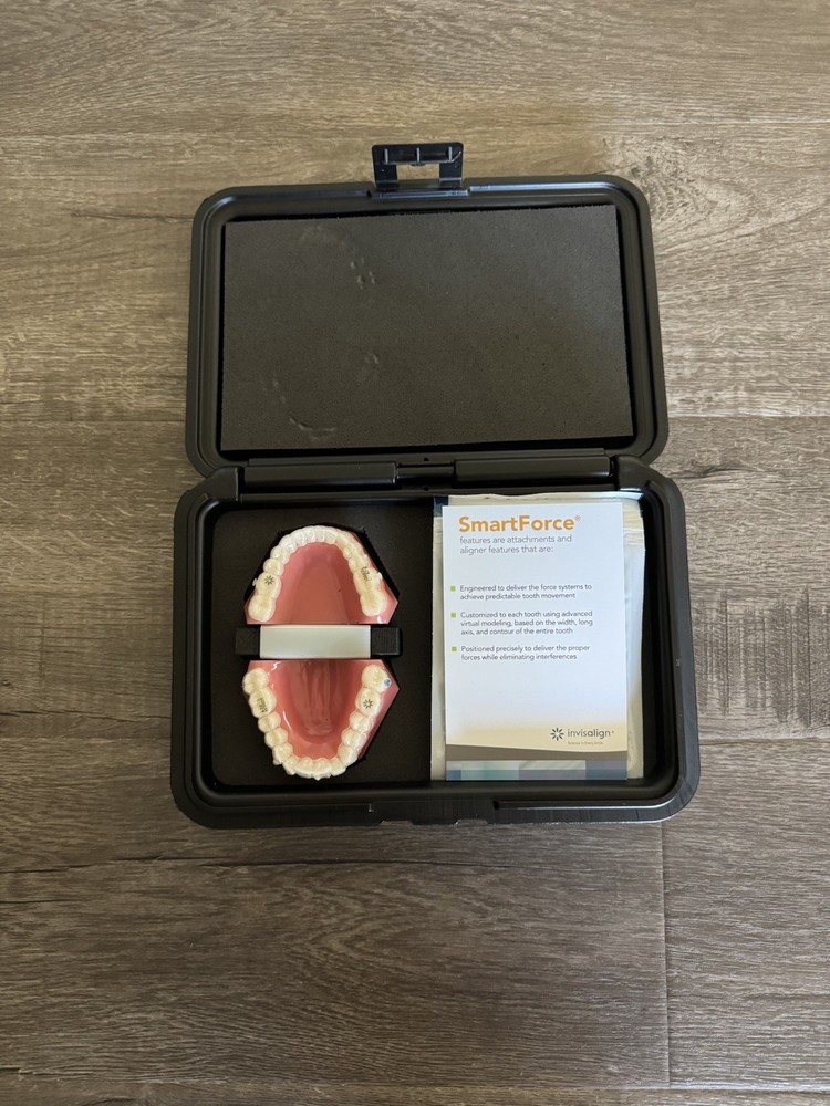 Invisalign Demo Typodont Kit - Class 2