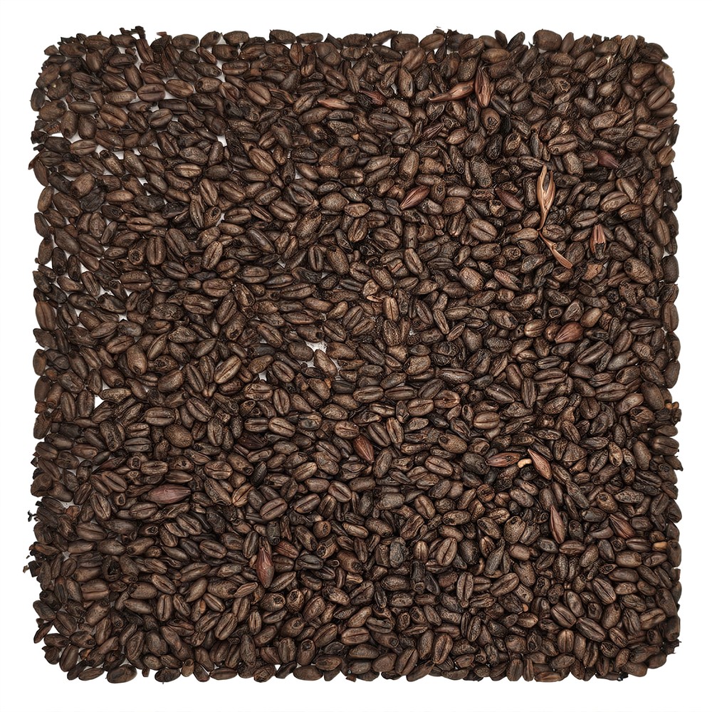 Home Brew Ohio Chocolate Grain 5lb