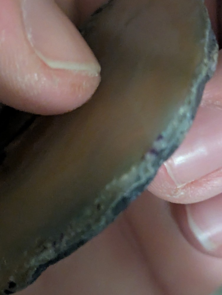 A Murky Brown Agate Slab