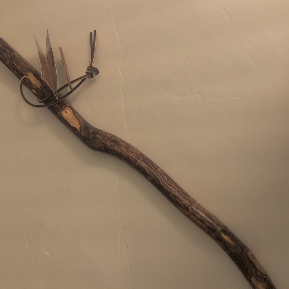 Brazos Walking Sticks Walking Pole