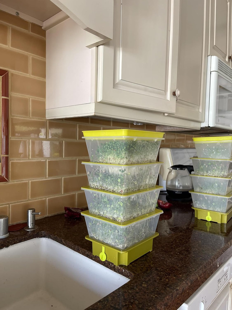Seed Sprouter 4 Tier Stackable Soil Free Sprouting System with Drain Spout