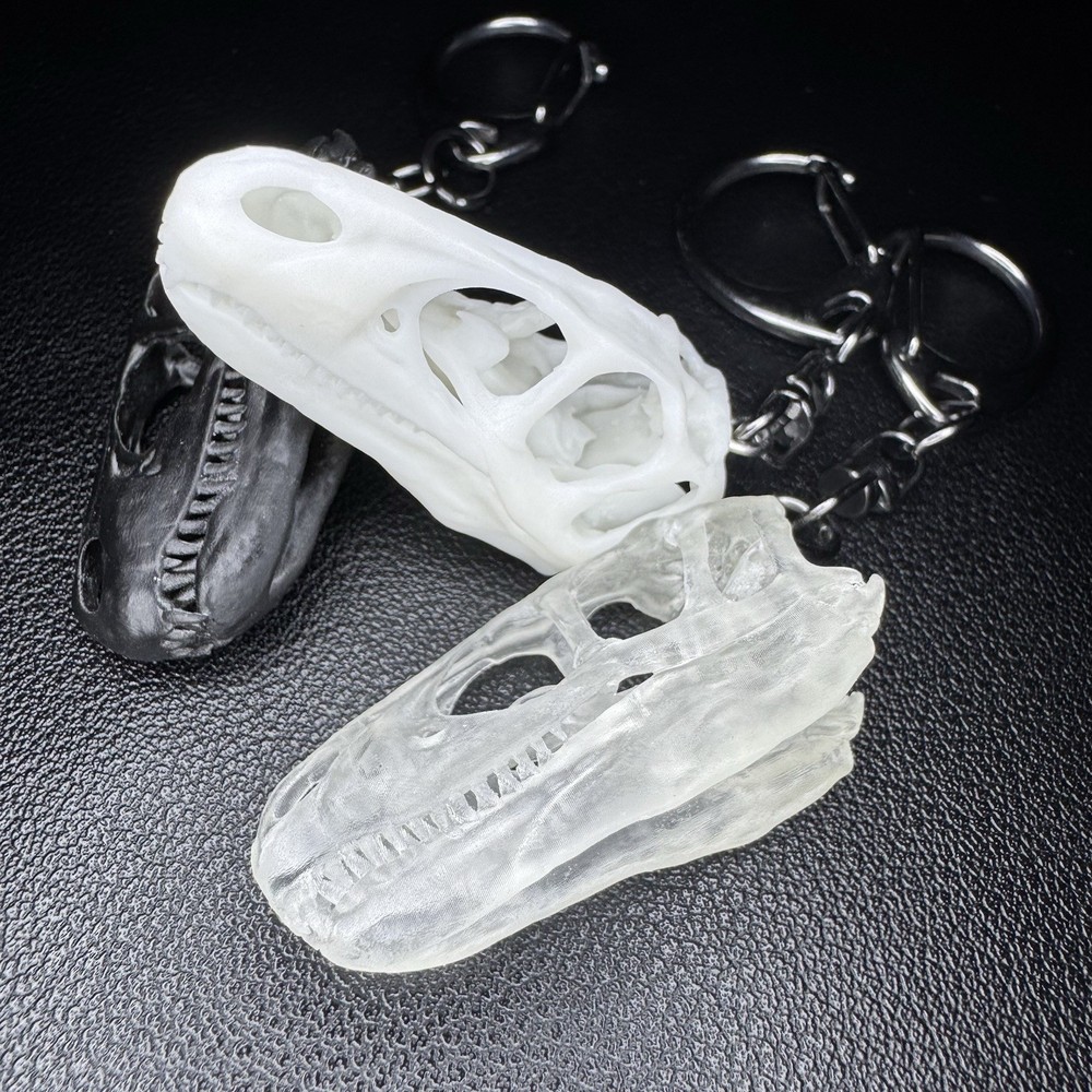 Utahraptor | Resin Keychain Skull Replica (Translucent)