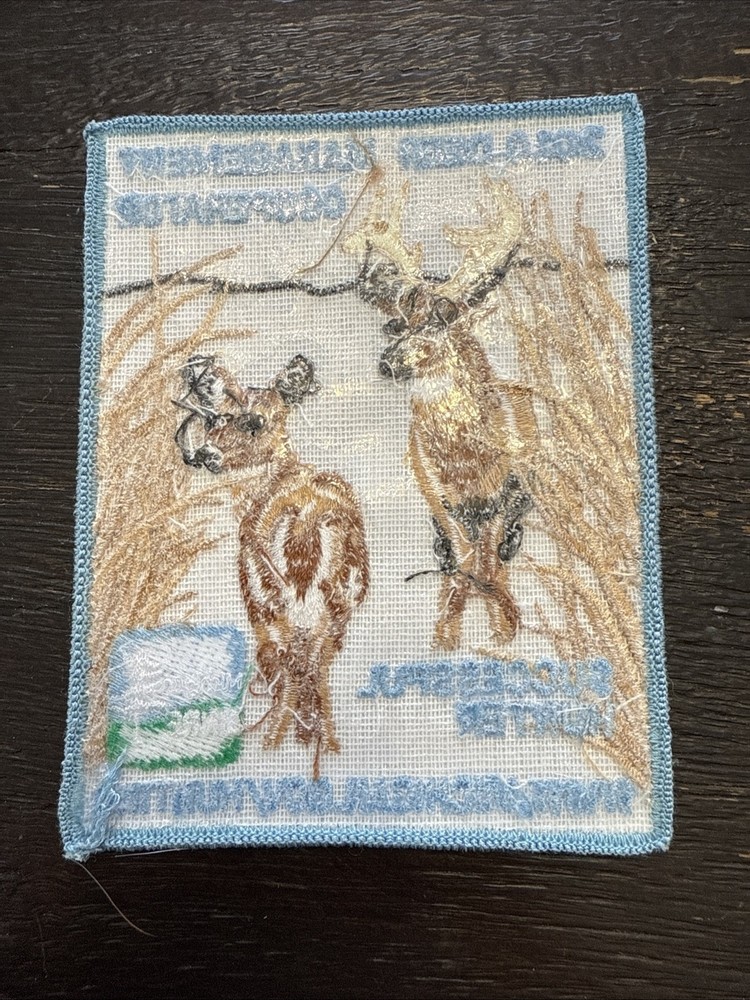 2010 Michigan Successful DNR Deer Hunting Patch