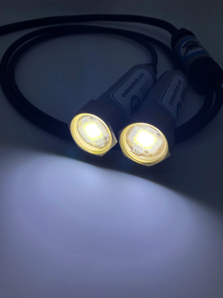 LED Light Head - dual 1200lm