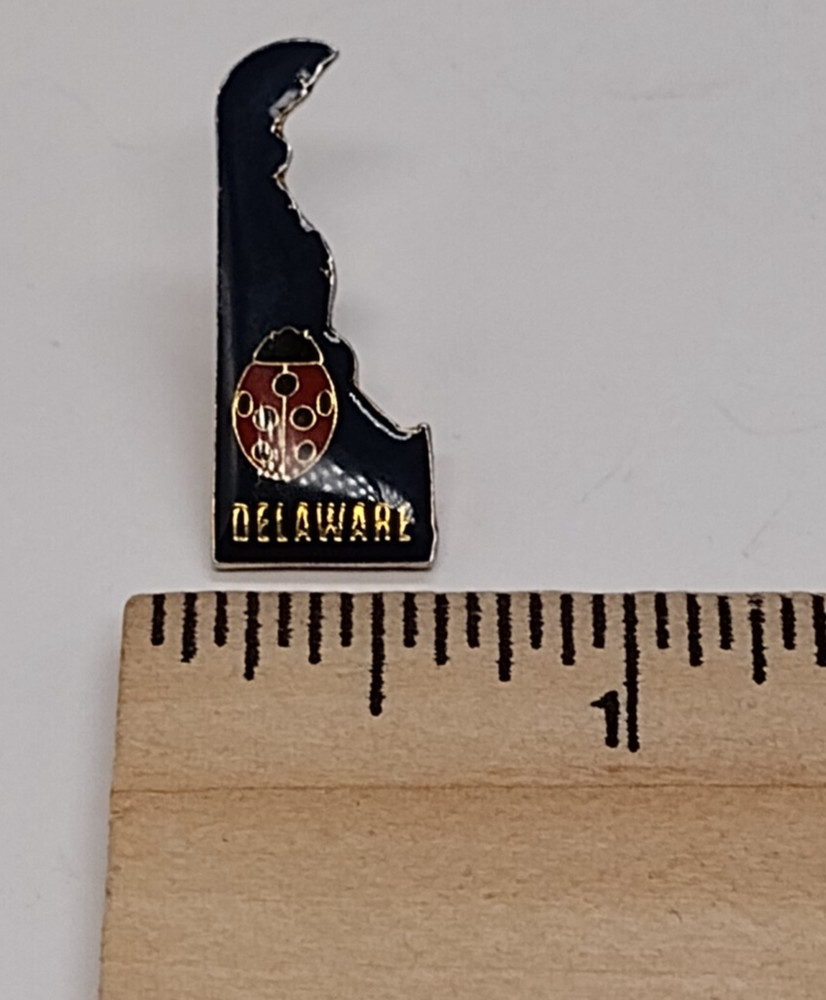 State of Delaware Ladybug Small Tack Pin