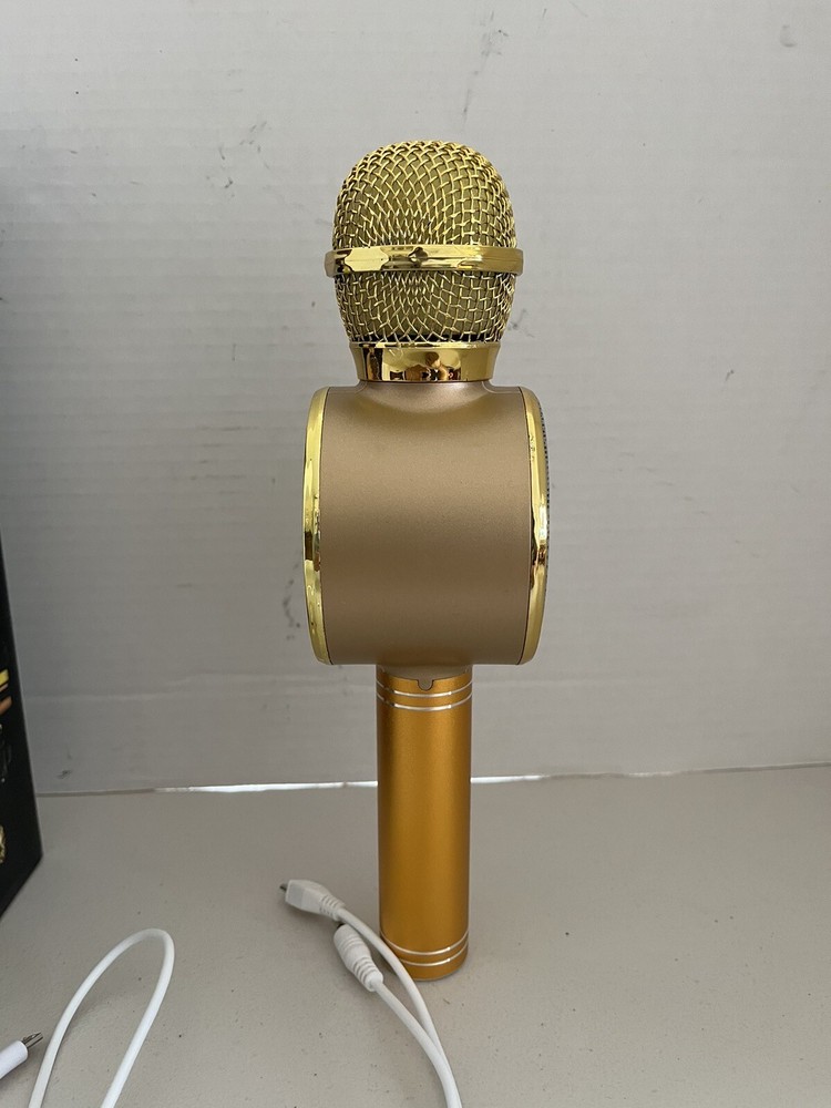 Handheld Ktv WS-668 Karaoke Microphone Plus Voice Controller TESTED WORKING