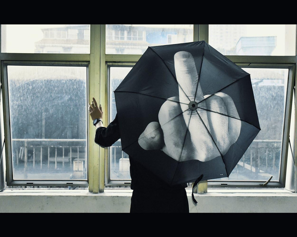 DS. DISTINCTIVE STYLE Middle Finger Umbrella Funny Folding Creative