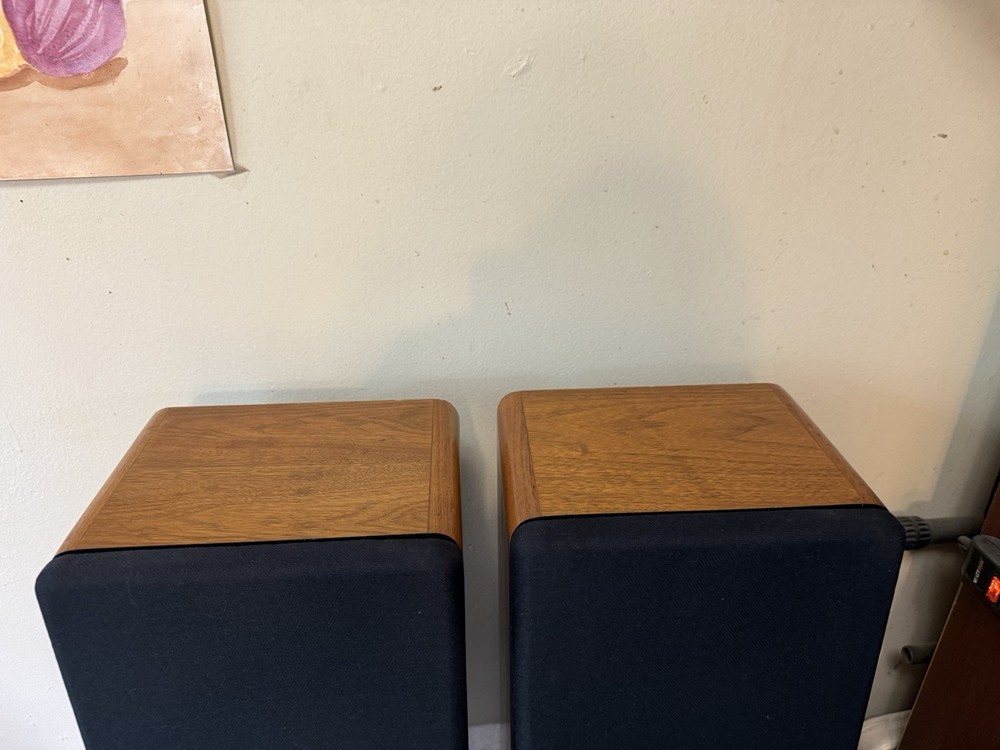 GNP 220 Speaker Empty Cabinet With Covers Only